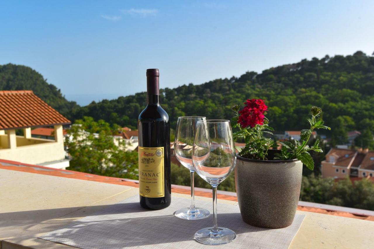 Guest House Jedro Petrovac Εξωτερικό φωτογραφία